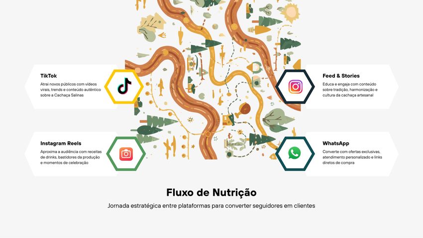 Fluxo de nutrição da campanha Cachaça Salinas mostrando o papel do TikTok, Instagram Reels, Feed e Stories e WhatsApp na jornada de conversão
